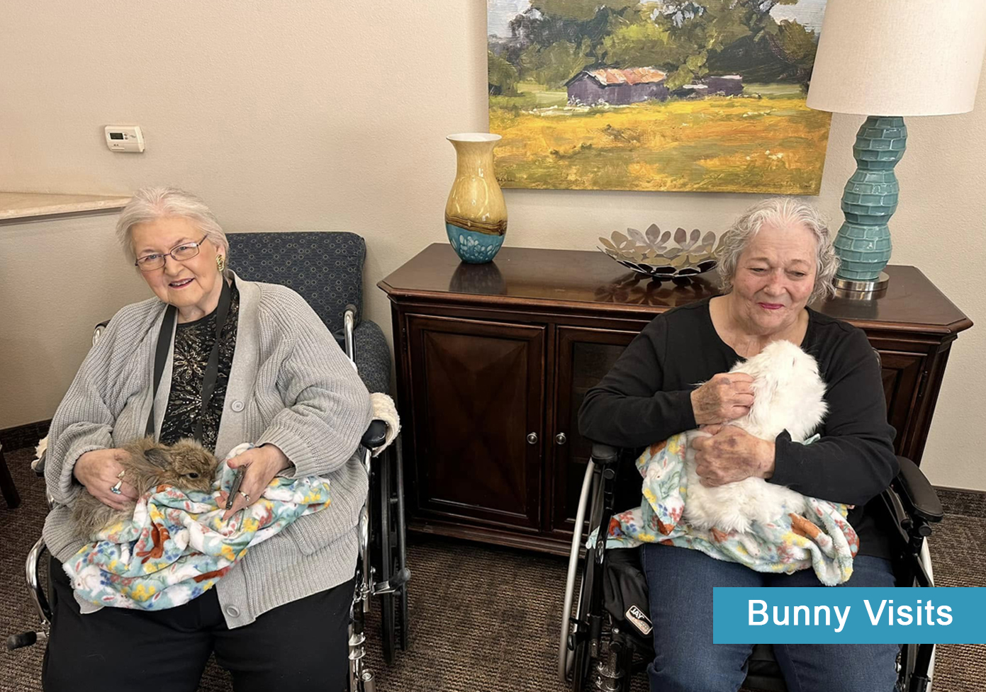 Bunny visit